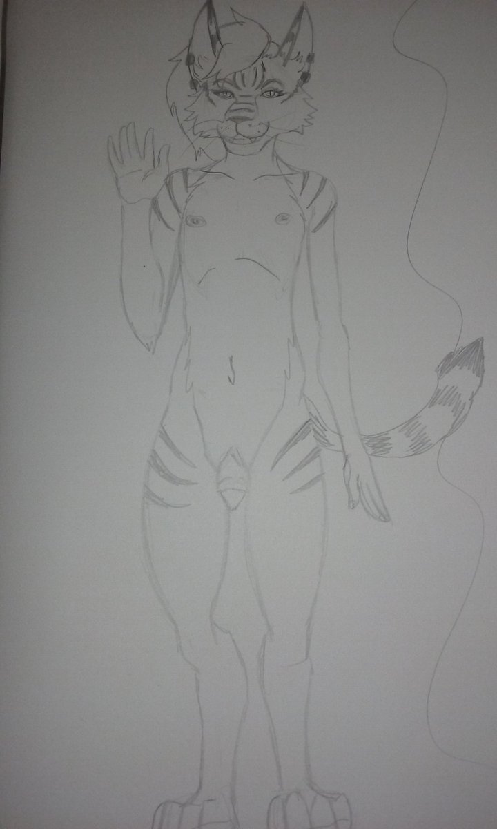 LewdSlothMan's tweet image. //Day 3. Final character sneak peak. Here is the Pansexual Herm Kitty