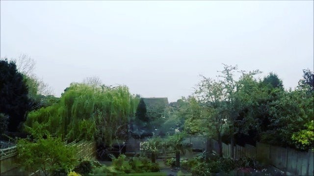 shekicks.it tweet media