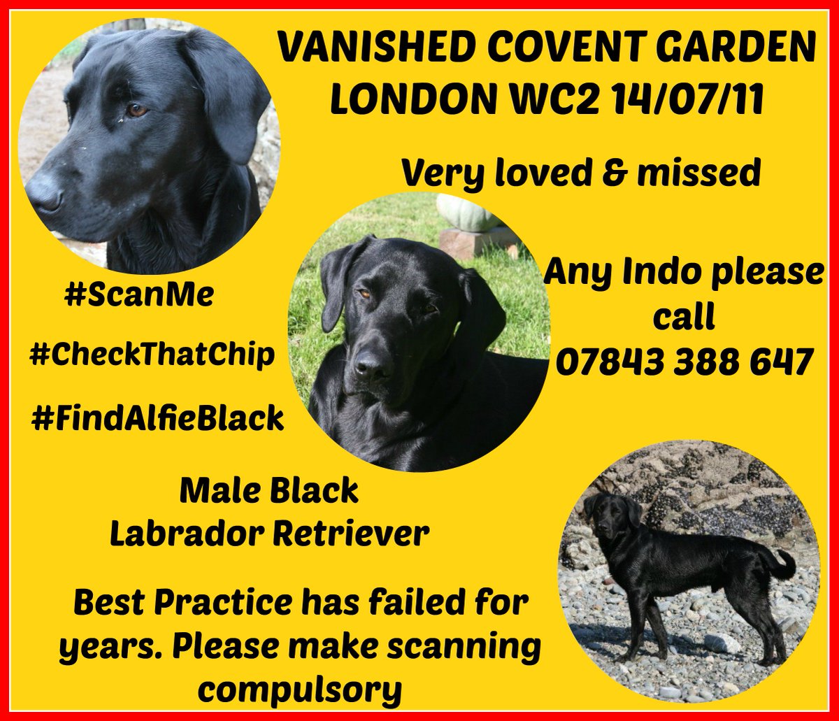 Click on the link and help <a href="/VetsGetScanning/">MakeChipsCount to Reunite Pets</a>  get Best practice working Do it for <a href="/AlfieBlack/">Alfie Black</a> #ScanMe #CeckThatChip 
vetsgetscanning.co.uk/lets-get-best-…