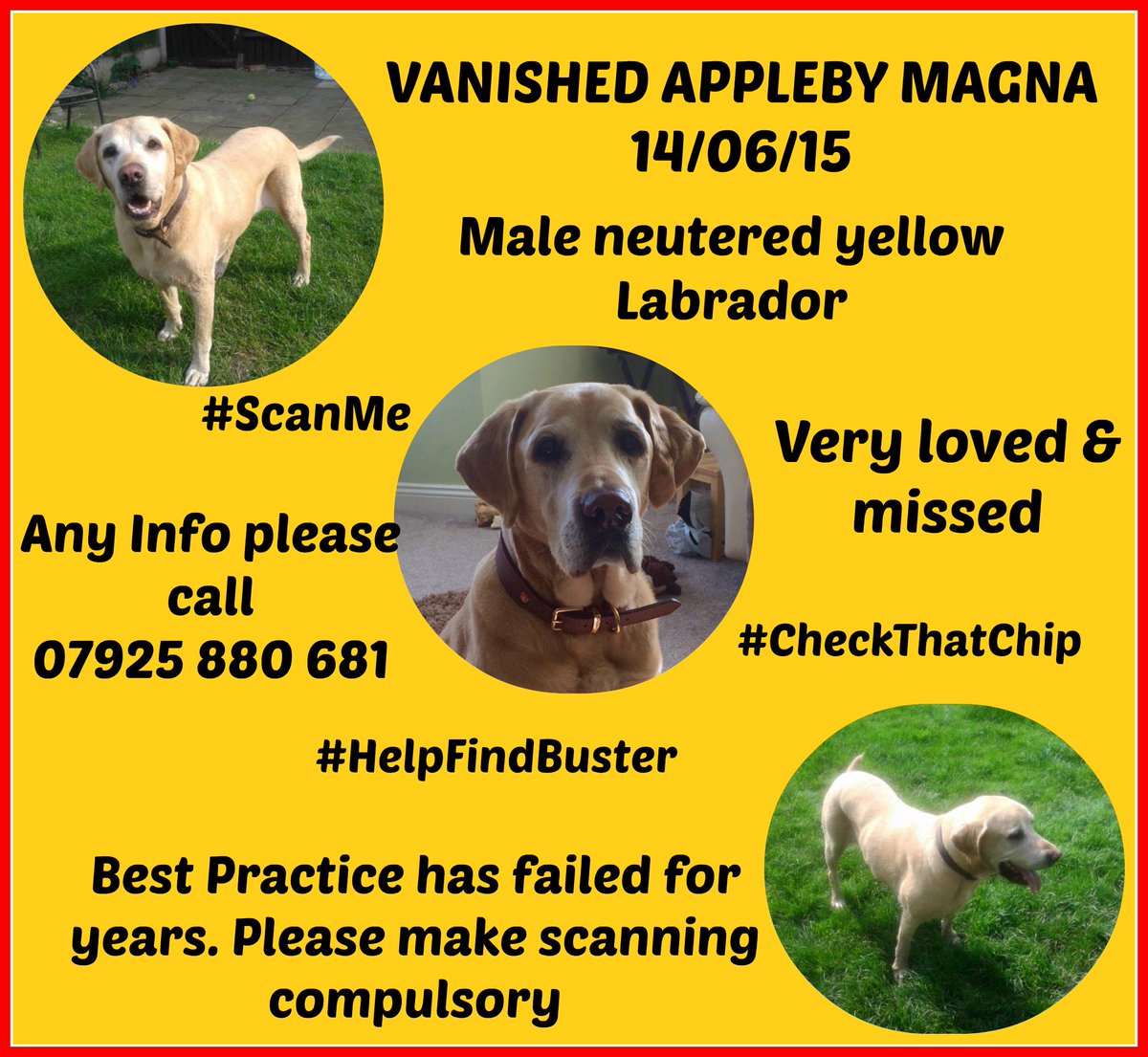 Sarah Williams tweet media