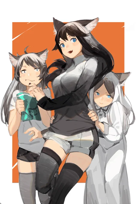 家裡的貓貓 