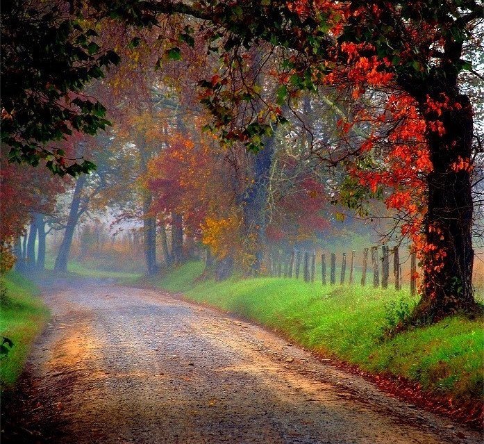 I love traveling 
to new places by car 
and simply getting
lost on the road....(doc).