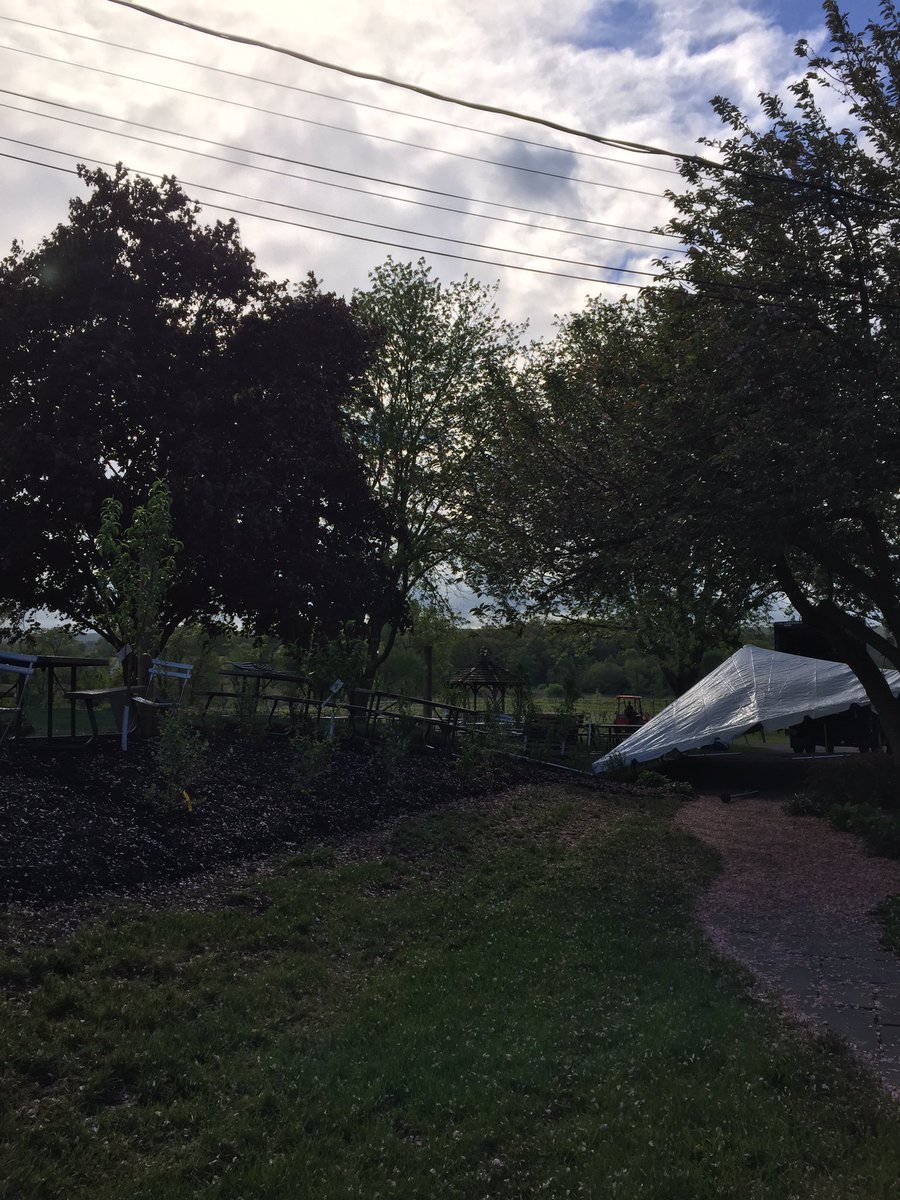 David Wolin tweet media