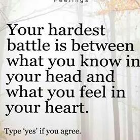 bluestoneja's tweet image. Good morning