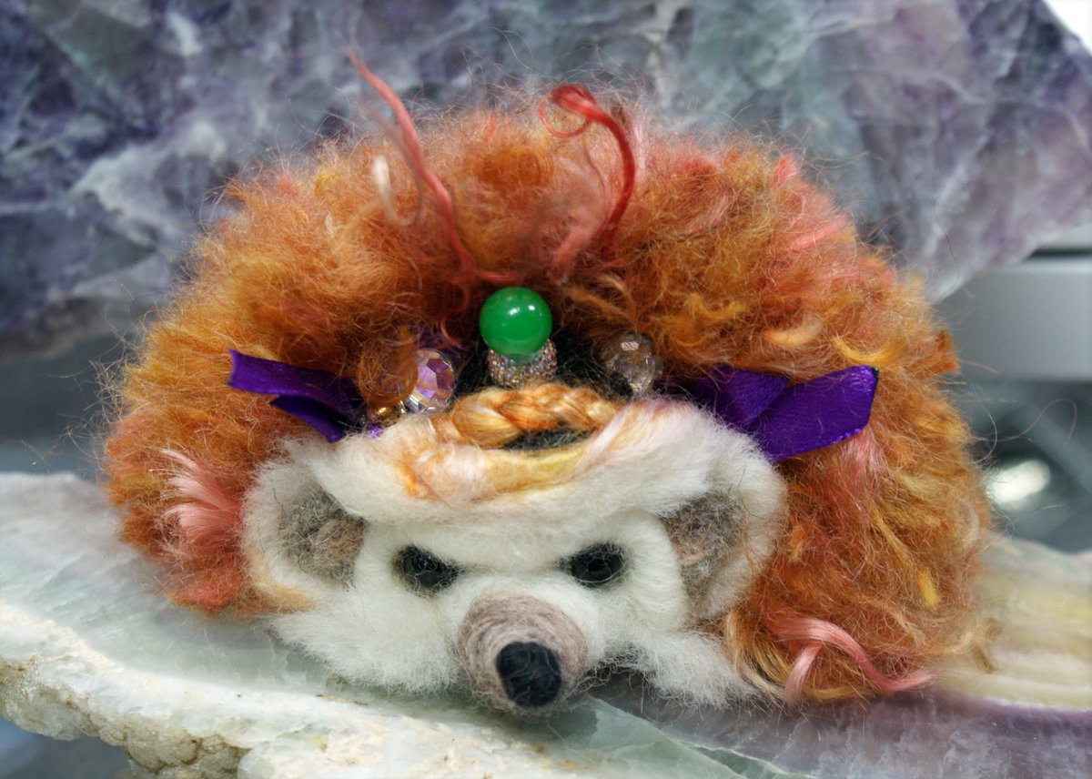 Magical Hedgehog
$45.00 plus HST
10% of purchase price donated to cause of choice
#Oshawa #AYRFCIOshawa #WinWinDeals
wwdeals.ca/product/magica…