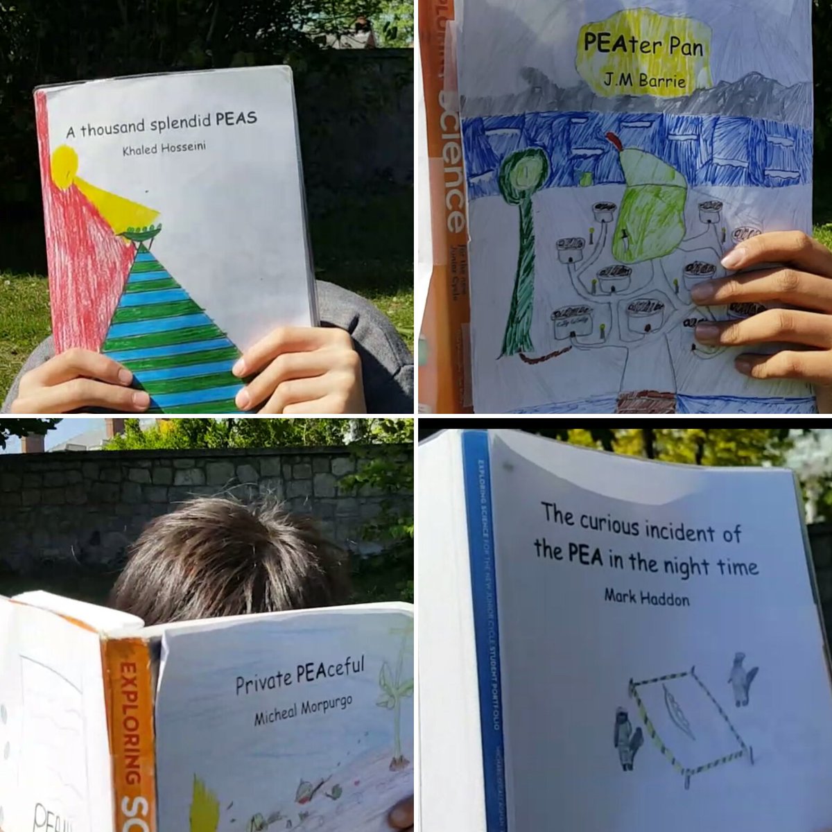 bird_allie's tweet photo. CrossPEAricular novels take 2 #Pea7 #reciPEAforsuccess @giyireland @cullyandsully @MarianCollege @GrainneMcCarth2 https://t.co/NZjV0hlW3P