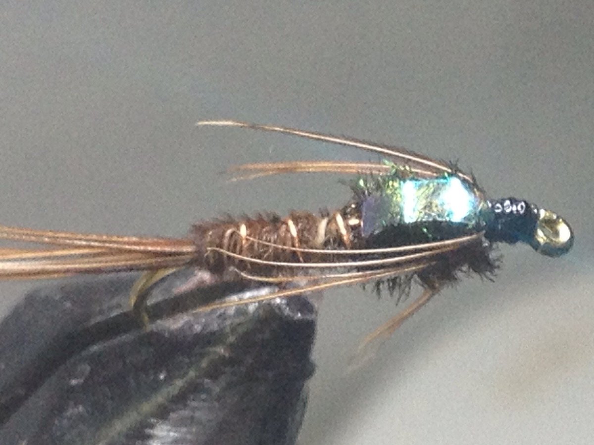 Silvereye Flies tweet media