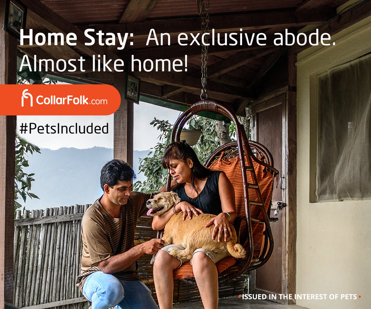 CollarFolk's tweet photo. Experience the comfort and warmth of #home in breathtaking surrounds in our curated #homestays! #Booknow https://t.co/OsmBpe1iUC #Pets https://t.co/hCOyHeeIXZ
