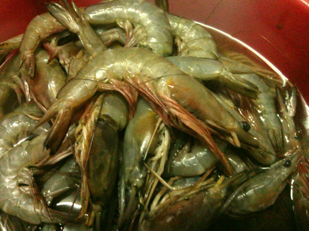 KalpeshrajMT's tweet photo. #Konkan #Vengurla #SeaFood #Big #Prons #सुंग्टा https://t.co/H0f78EolVr