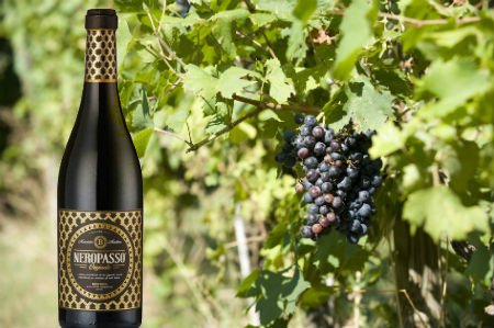 oldschoolwines's tweet photo. #Neropasso #Biscardo #RedWine #Tasting #AllDay #Today #TheTittensorTempleOfTemptation https://t.co/i6nPI2CFyv https://t.co/jDCVTobN8l
