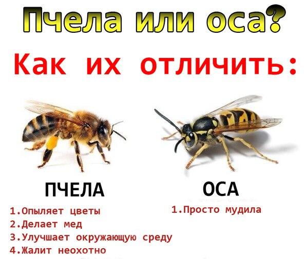 drunktwi's tweet photo. Важно знать https://t.co/ByTYOgJ0My