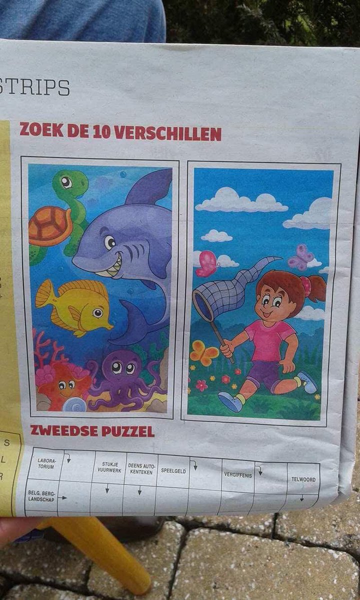 elsvh73's tweet photo. #HetNieuwsblad #kleineblunder #mijnmanzietookalles #ikvindgeenverschil https://t.co/JSFo58B3zO