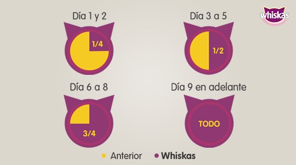 Whiskascolombia's tweet photo. Sabemos que quieres cambiar a Whiskas, hazlo paulatinamente por el bienestar de tu gato. #RetoDeSabor https://t.co/hABKkAsNsy https://t.co/lh69D2vIxt