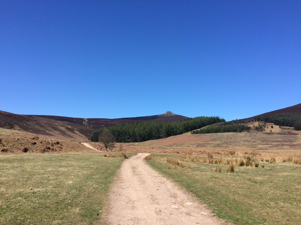 DrIronside's tweet photo. Making the most of the fabulous Scottish weather today with a walk up #Clachnaben #kilimanjarotraining #beatifulscotland https://t.co/SmoQQHNTmD