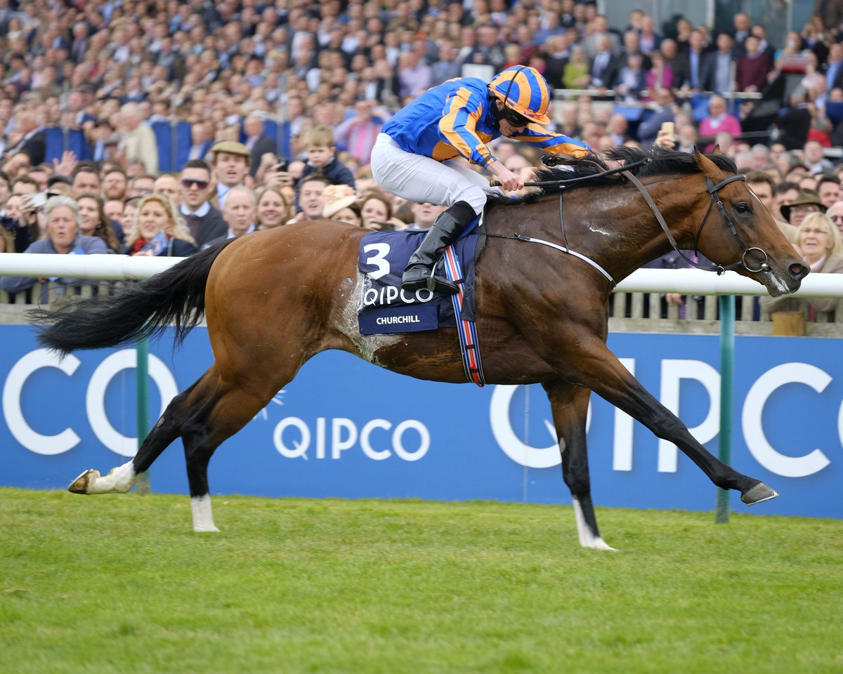 Image result for churchill 2000 guineas