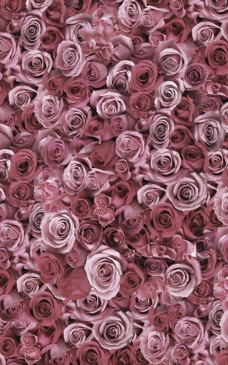 LeMystere's tweet image. A bed of flowers in our new favorite shade. #ColorConfidence bit.ly/LMColorConfide…