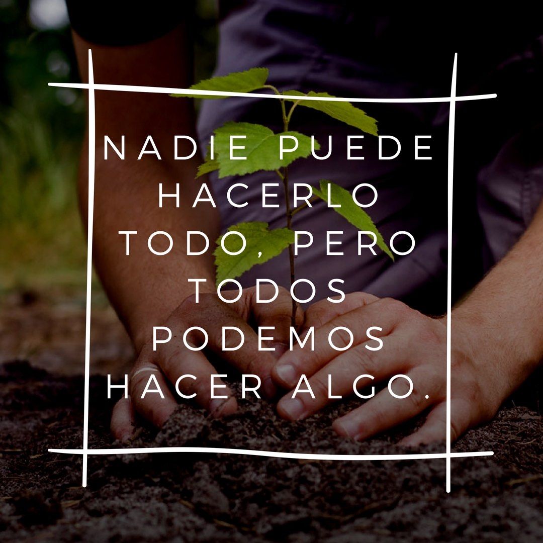 EcoInventos's tweet photo. Nadie puede hacerlo todo, pero todos podemos hacer algo. https://t.co/BPLOm0KK4w