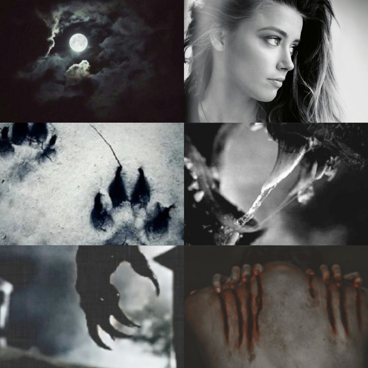 /. Blossom werewolf au