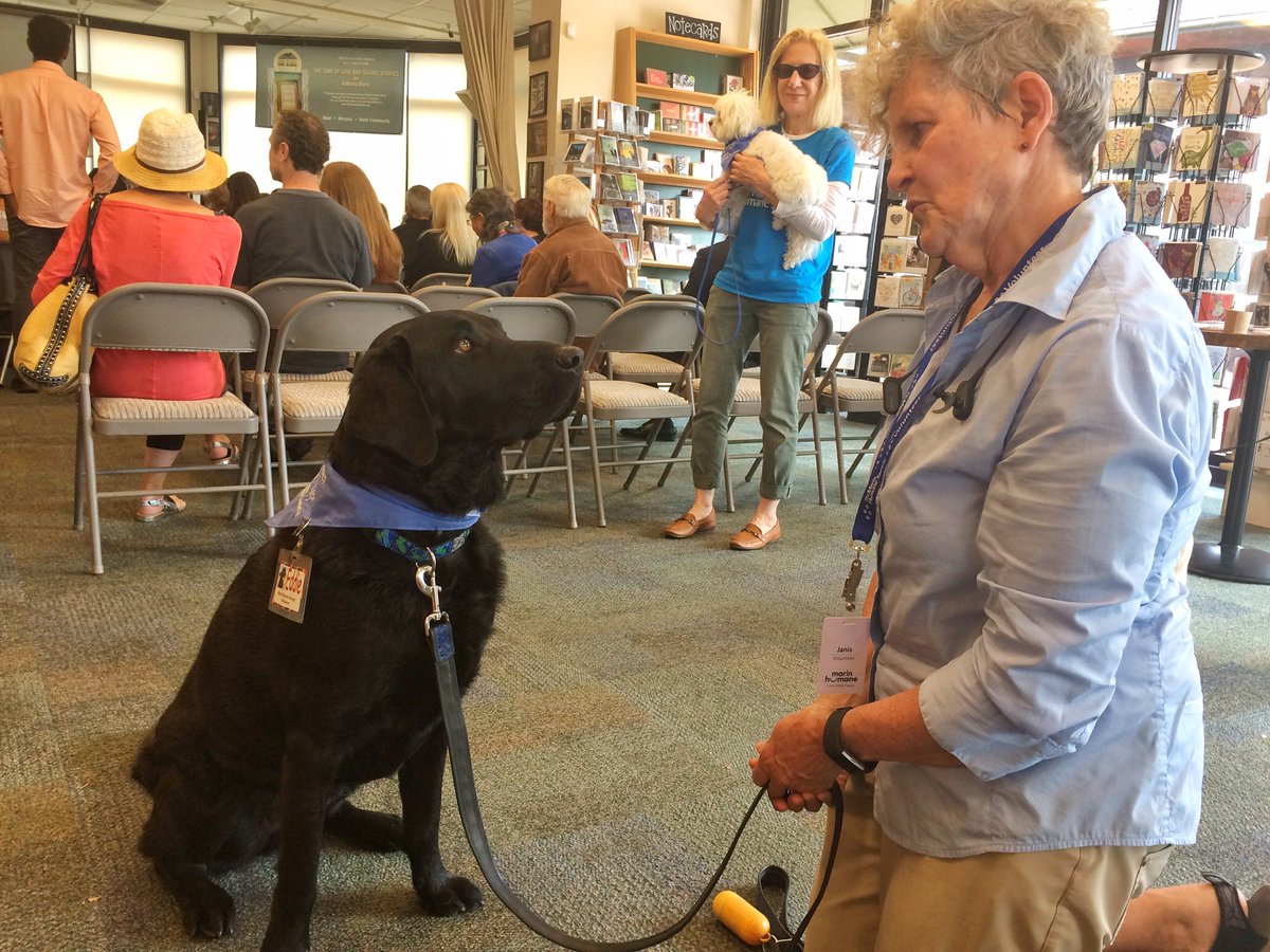 bookpassage's tweet photo. Just a few of our very handsome @MarinHumane canine ambassadors attending @carlynmdo's reading today. #DogsofBP https://t.co/4XCBR6XXHt