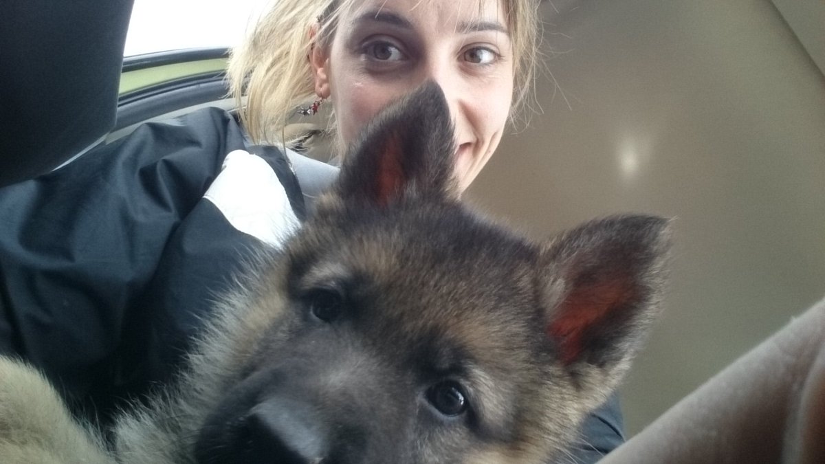 windoea's tweet photo. #Amorperruno #Astur Aumenta la familia!! https://t.co/hYL0hkRl28