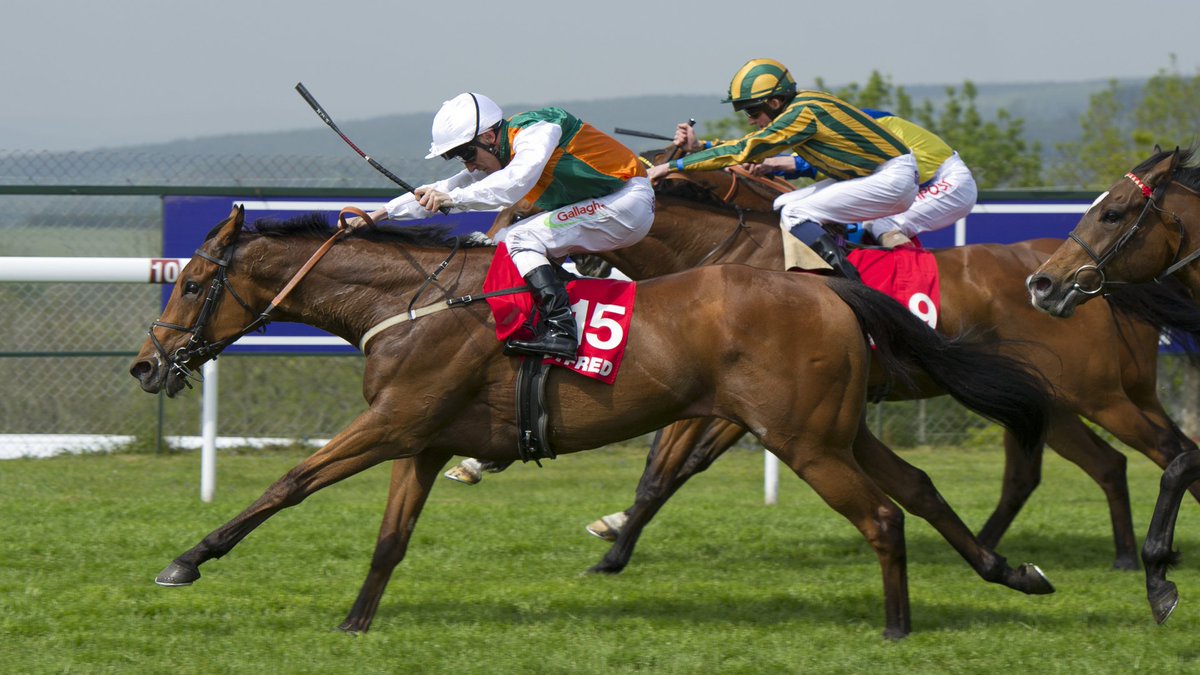 Goodwood_Races's tweet photo. Some highlights from an excellent day's racing at #OpeningSaturday! https://t.co/wbOC0XU5XS