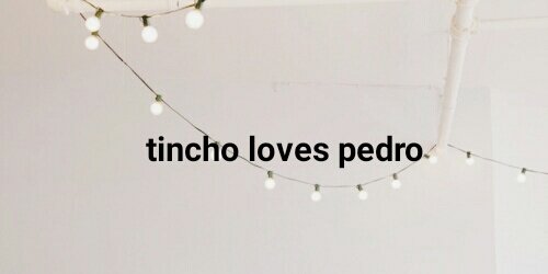 divazapacks's tweet photo. ✨ Pack la divaza ✨
// rt + fav si lo guardas //
sigueme para más edits
  si lo usas da creditos
          se honesto

pedido: @tinlovespedro https://t.co/JcSObdGuvx