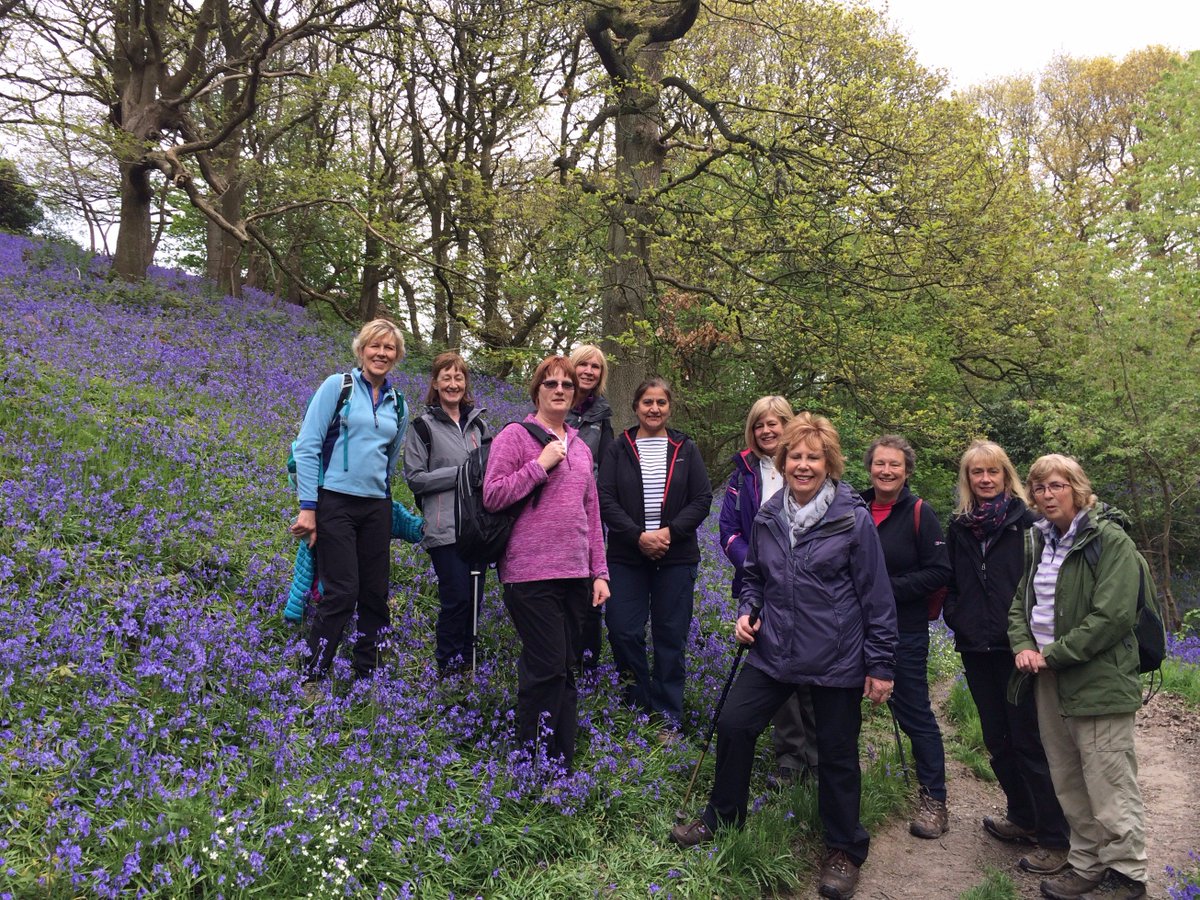 BramhopeWI's tweet photo. Fantastic WI walk, great company, beautiful bluebells and tea and cake. Whats not to like on Saturday? Thank you Judith for leading today https://t.co/7uoO3zbJ9f