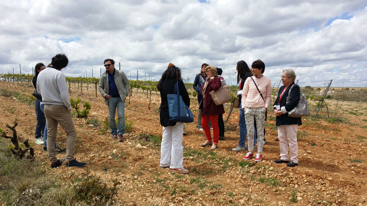 RutaVinoCigales's tweet photo. La Ruta del Vino @docigales abre las puertas a participantes @CMB_Valladolid #cmb2017vll #VLLSabeAVino @concoursmondial @rutasvinoespana https://t.co/zy7hwnttLh