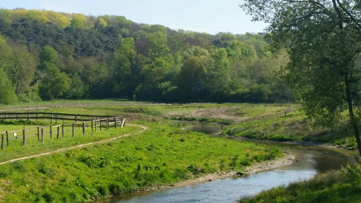 Marcpaulrosier's tweet image. Ik wandelde vandaag in de omgeving van #Spaubeek Dat is in Limburg. Erg genoten vd mooie omgeving 😀
