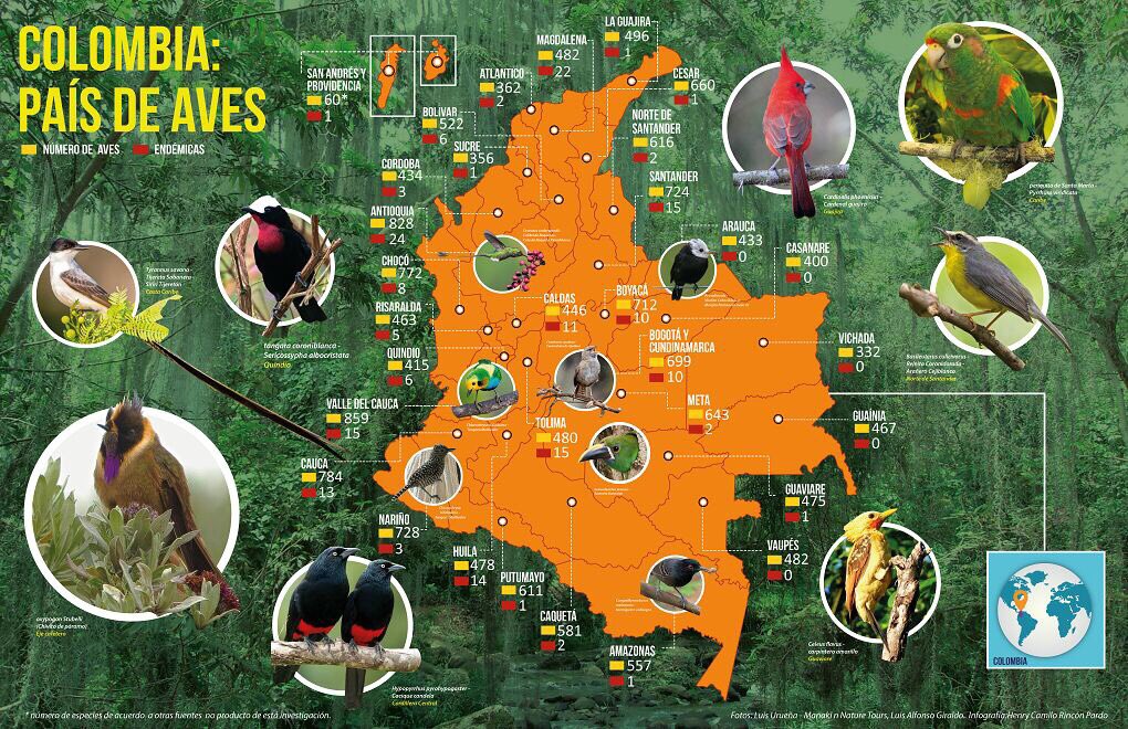 #Casanare turismo de #AvistamientodeAves <a href="/mclacouture/">Maria Claudia Lacouture</a> <a href="/MincomercioCo/">MinComercio Colombia</a> <a href="/TurisCasanare/">TurismoporCasanare</a> <a href="/carlosrojasaren/">Carlos Rojas Arenas</a> <a href="/Prensalibcasan/">PrensaLibreCasanare</a> @chivasdellano