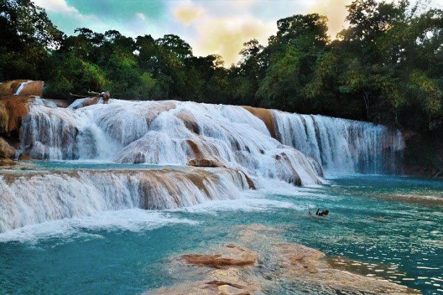 LifeTurist's tweet photo. 4 Lugares acuáticos más populares para visitar Chiapas:
1⃣Cascadas de Agua Azul
2⃣Laguna Miramar
3⃣Las Nubes
4⃣Aguas de Montebello https://t.co/iUXztO0XgR