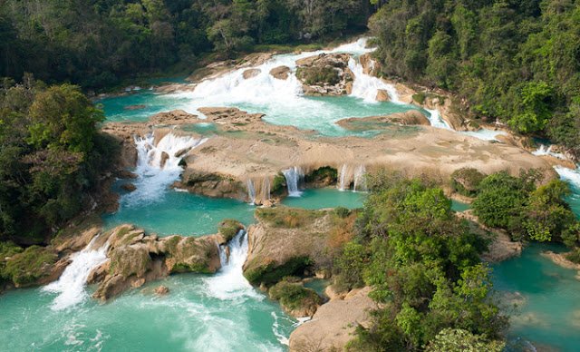 LifeTurist's tweet photo. 4 Lugares acuáticos más populares para visitar Chiapas:
1⃣Cascadas de Agua Azul
2⃣Laguna Miramar
3⃣Las Nubes
4⃣Aguas de Montebello https://t.co/iUXztO0XgR