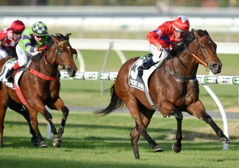 ANZ News tweet media