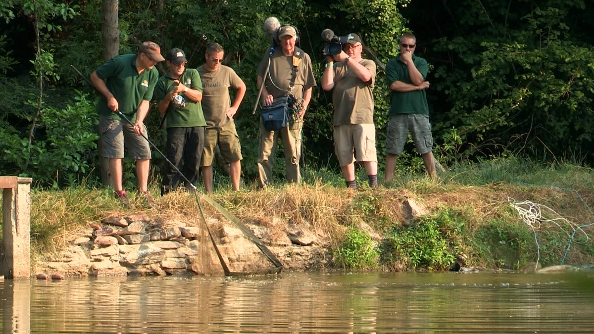 Paradise found in Puyravaud - watch Pursuit tomorrow morning 9am on <a href="/QuestTV/">Quest</a> <a href="/PuyravaudCarp/">Peter Jackson</a> #bigfish