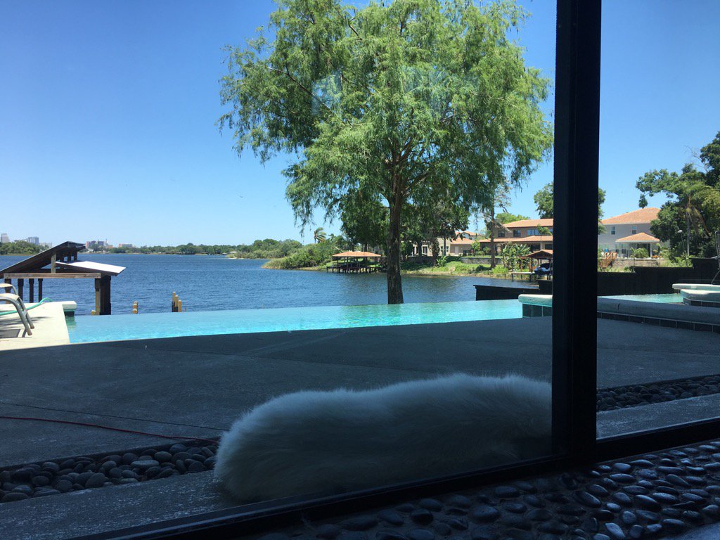 TmarTn's tweet photo. Dude just naps to this view all day. The life. https://t.co/kTh8Ic0xj8