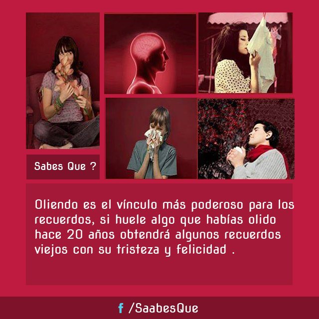 sabes__que tweet media