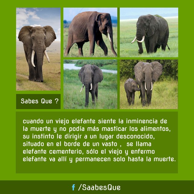 sabes__que tweet media