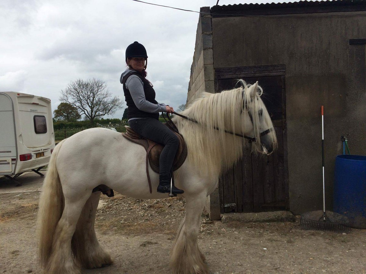 katanne2004's tweet photo. #Billy #riding  only been over 20 years to be back on a horse after breaking collar bone last time. https://t.co/zBhchg5ttL