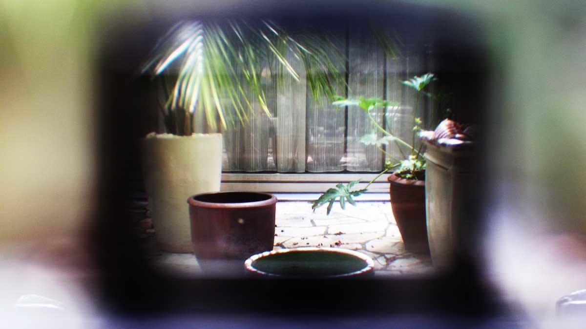 PivotalCEO's tweet photo. What can leaders learn from photographers? Foresight is more beneficial than seeing only what's in front of you. https://t.co/1UZfPgIJYd https://t.co/yU0Xcj987e