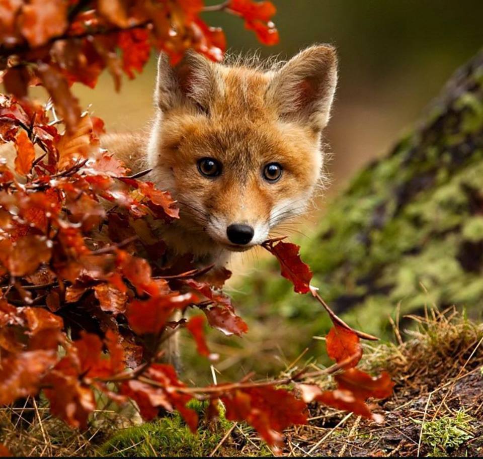 360WiSE's tweet photo. .@ItzBJJ Asking all followers to support our lobbying efforts, RT this, and go to #Renewrosewood and RT from there....Friendship matters https://t.co/of2REqxJYS
