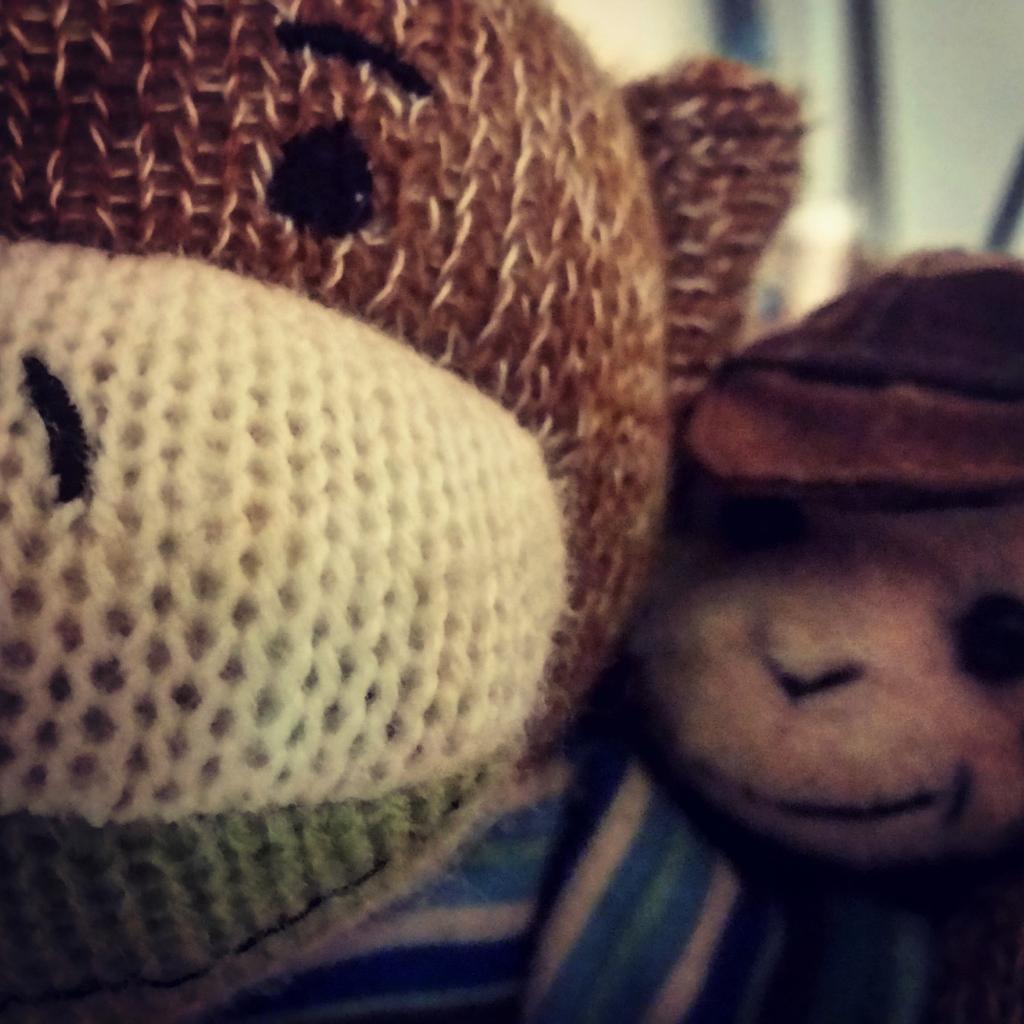 MonkeyMarvelous's tweet photo. True love! #missyou #doreen https://t.co/eYY01bvPni