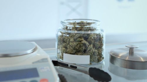 THCBioMed's tweet photo. CBD vs. THC: Why is CBD not psychoactive?: https://t.co/ExcO2U3IR7 https://t.co/OCeQ16KOhj