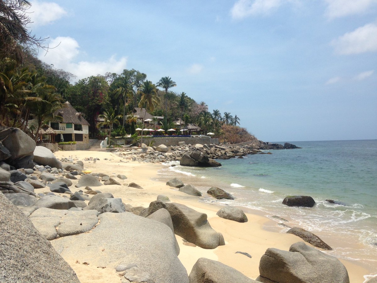 travymar's tweet photo. LOST: 1 pair of purple Metacam shades in Bahia de Banderas, MX; if found just put 'em on, grab a beer and shades will take care of the rest https://t.co/zyLvCHALjg