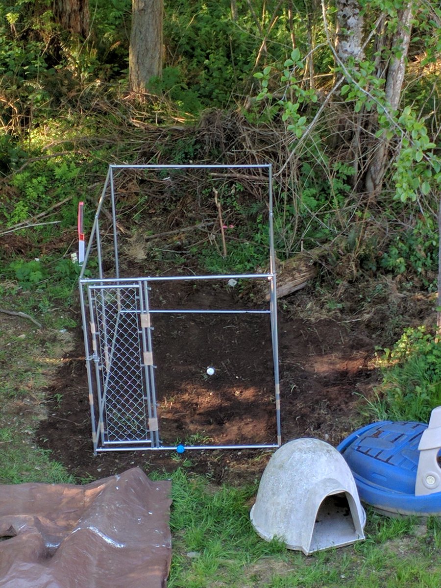 TechDad's tweet image. Dog pen up. Need help on fencing. Once done, dogs can chill in the shade, but not wonder off, when you want to work outside.