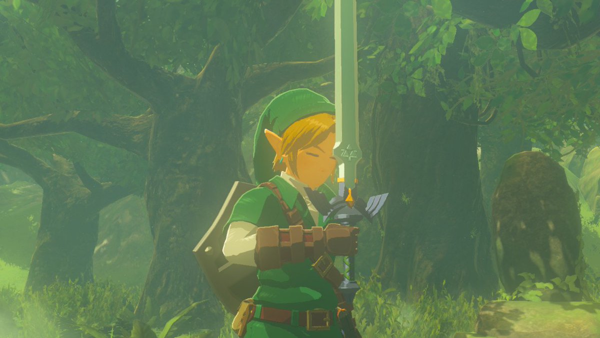 hking28's tweet photo. #BreathoftheWild #NintendoSwitch https://t.co/qSrIDovKPc