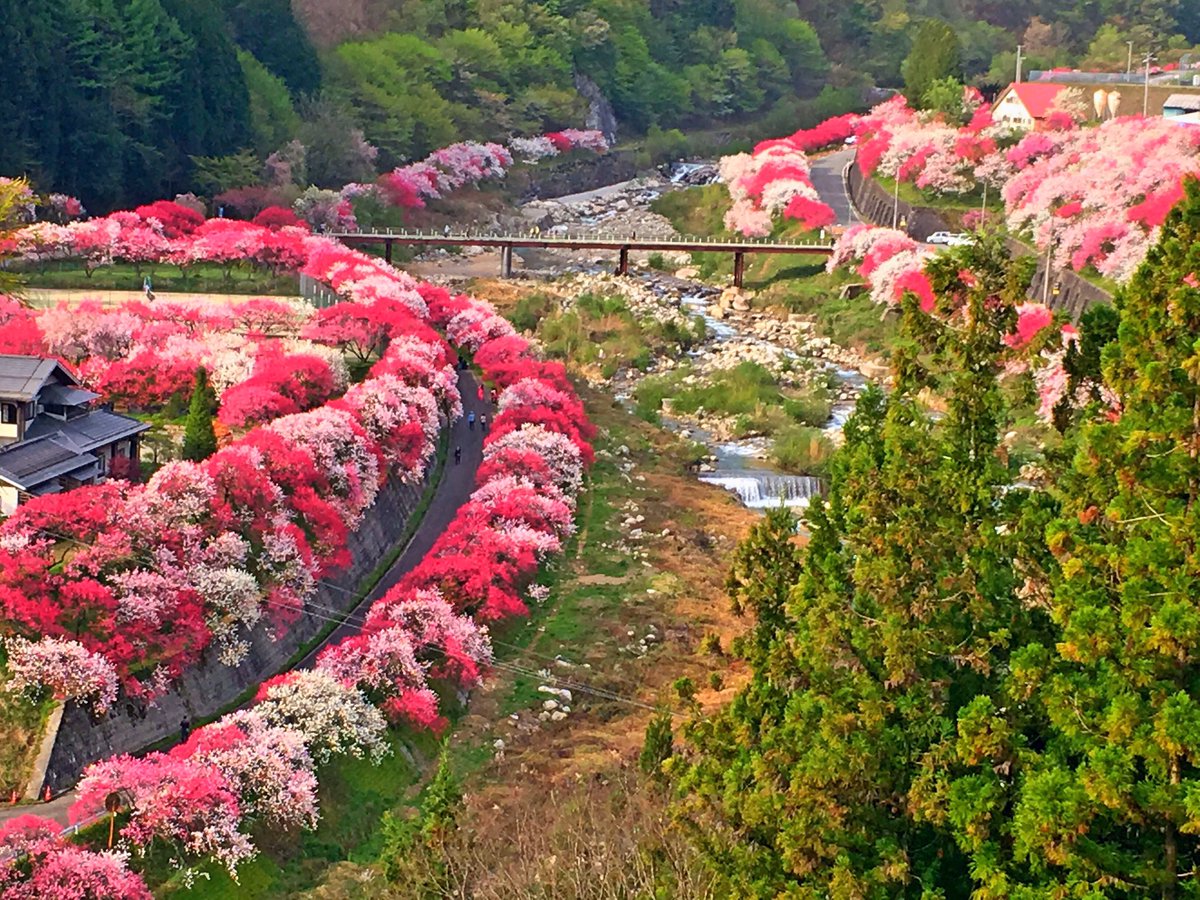 花 桃 の 里 Homu Interia 花 桃 の 里 Homu Interia