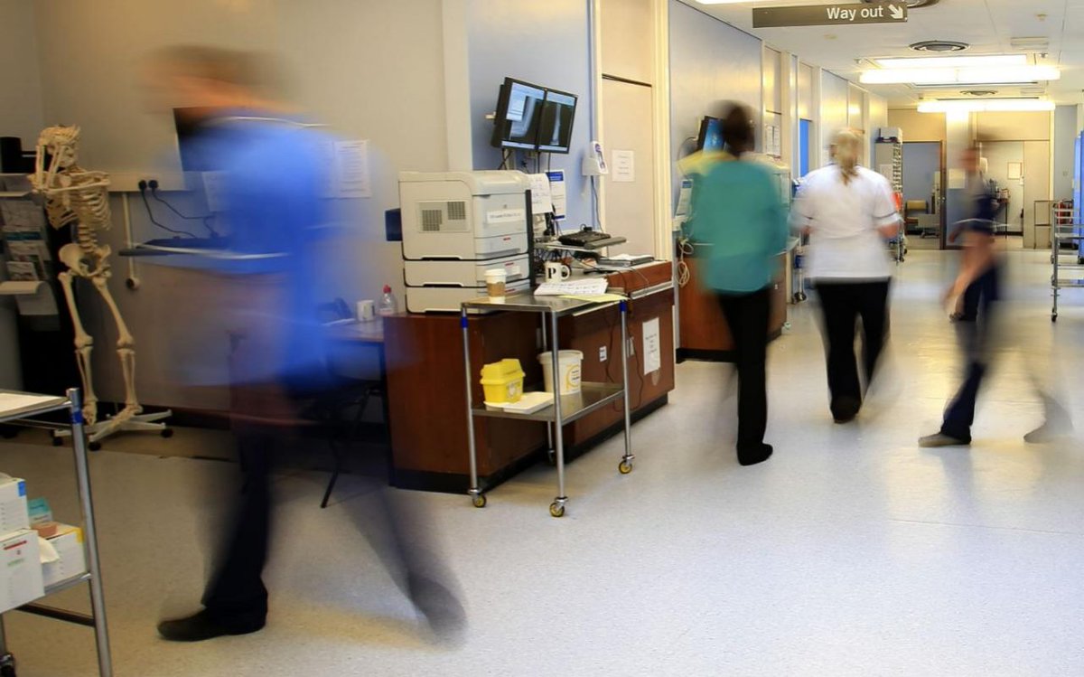 TelegraphNews's tweet photo. Patients in hospitals should be tagged with 'homing beacons' to stop them being lost in 'chaotic' wards, King's… https://t.co/aW38umzvLG https://t.co/ADXiFKoZnP