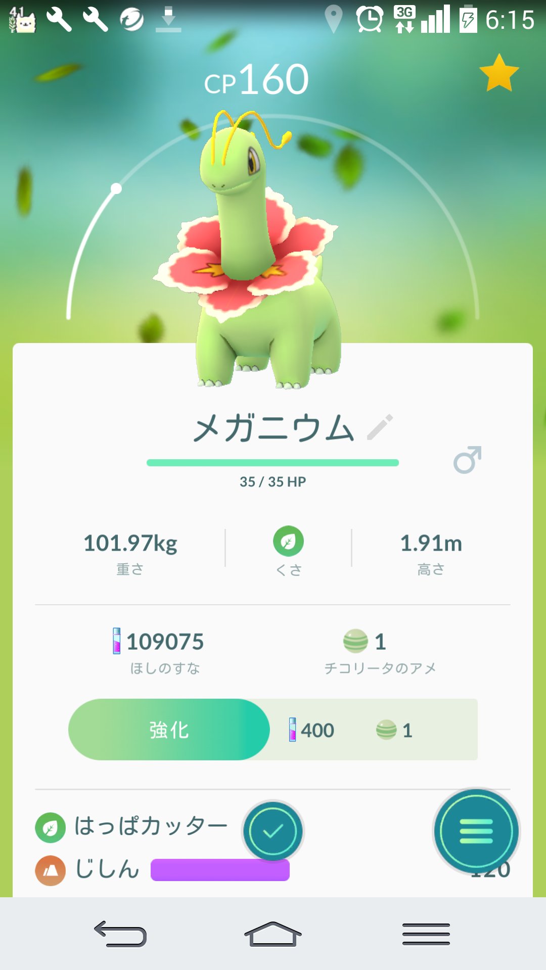 牧原冴月 ベイリーフを進化させて メガニウムを手に入れた Pokemongo T Co Sxnxkkk9se Twitter
