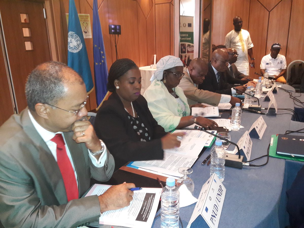 jwmadaki's tweet image. @SALWProject - UNDP Nigeria Country Director a.i Ms. Mandisa Mashologu opening remarks at ECOWAS- EU steering committee meeting in Abidjan