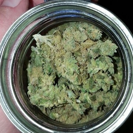 soletitbenow's tweet photo. All I need is a little lady who can burn a little weed. 😉😊 https://t.co/syxNPCyj8W